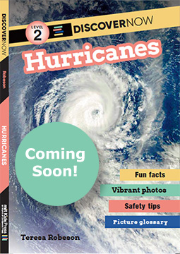 Hurricanes by Teresa Robeson