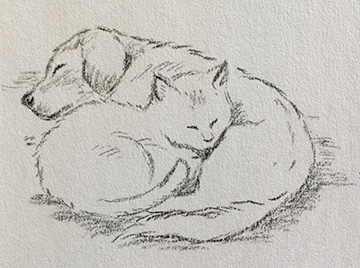 pup and cat by Teresa Robeson