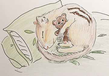 Sleepy chipmunk by Teresa Robeson