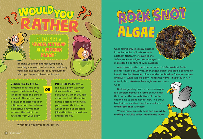 illustration for Disgustology The Science of Gross by Teresa Robenson, illustrated by Anna-Maria Jung, published by Odd Dot Macmillan
